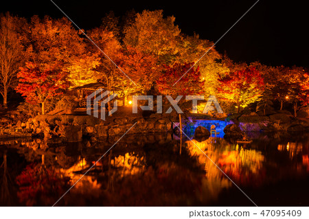 櫻山公園秋葉的照亮（群馬縣藤岡市） 47095409