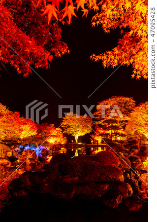 櫻山公園秋葉的照亮（群馬縣藤岡市） 47095428