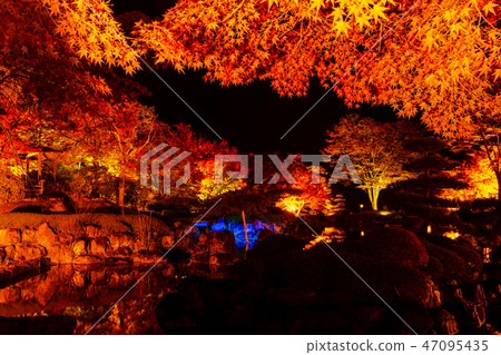 Light up of Sakurayama Park autumn leaves (Fujioka City, Gunma Prefecture) Light up of Sakurayama Park autumn leaves (Fujioka City, Gunma Prefecture) 47095435