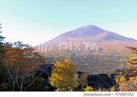 Burning lava flow and Iwate volcano Burning lava flow and Iwate volcano 47095542