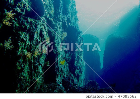 Hayama Gontaroiwa(第二個水道) Hayama Gontaroiwa(第二個水道) 47095562