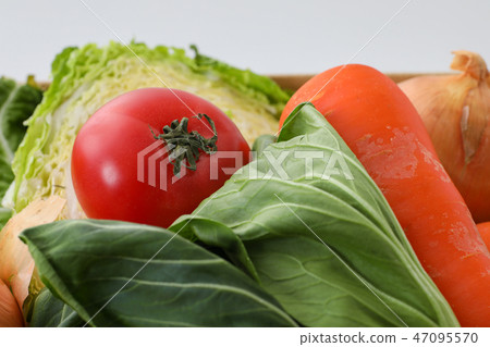 在紙板的蔬菜 47095570