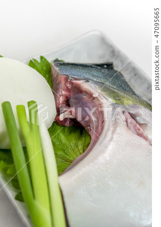 [Buri kama] 47095665