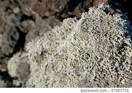 Rocks of the burning running conglomerate flow 47095756