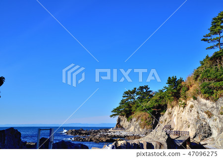 Black pine towering over the quay Black pine towering over the quay 47096275