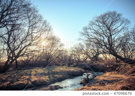 Watarase Reservoir Winter dry grassland Winter 47096670
