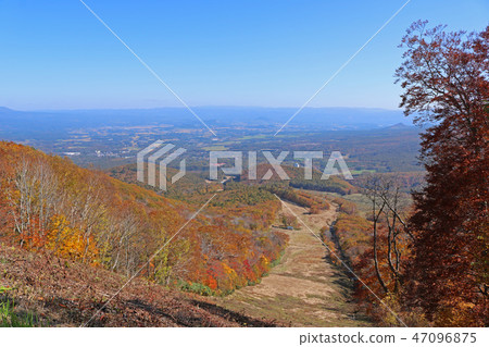 View from the Hachiman Taira Jukai Line 47096875