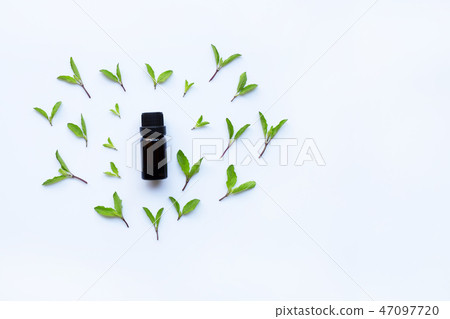 Holy basil essential oil in a glass bottle Holy basil essential oil in a glass bottle 47097720