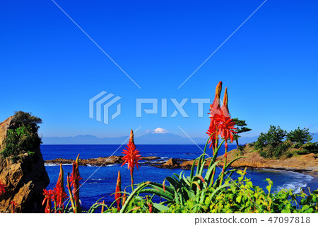 Blue sea and Mt.Fuji seen from Tateishi coast Blue sea and Mt.Fuji seen from Tateishi coast 47097818