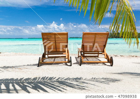 tropical beach with palm tree and sunbeds 47098938