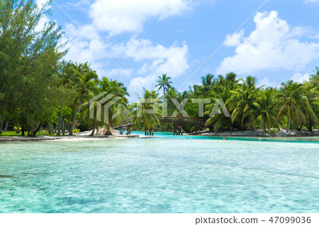 bridge on tropical beach in french polynesia bridge on tropical beach in french polynesia 47099036