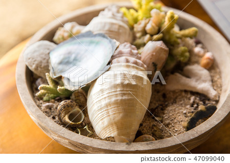 close up of seashells and corals in bowl on table close up of seashells and corals in bowl on table 47099040