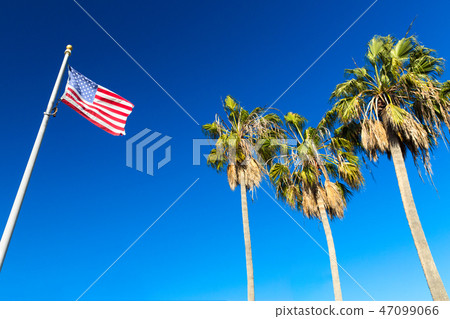 american flag and palm trees at venice beach 47099066