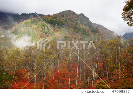 Okuhida Onsenkyo Kamisaka秋葉 Okuhida Onsenkyo Kamisaka秋葉 47099852