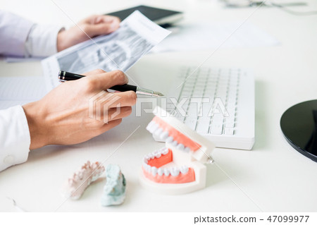 Concentrated dentist sitting at table with jaw samples tooth mod 47099977