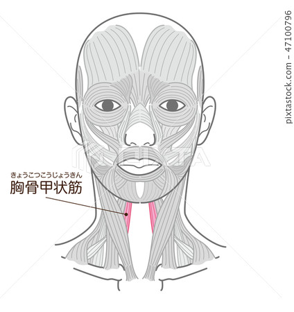 甲狀腺功能減退症 47100796