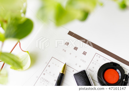 婚姻登記 婚姻登記 47101147