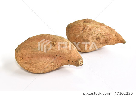 甘藷（Maron Gold） 47101259