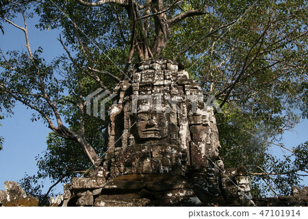 Cambodia World Heritage Site Angkor Angkor Ta Prohm 47101914