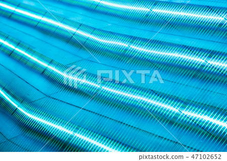 御殿場高原Tokino Sui照明 47102652