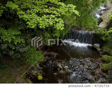 神奈川縣的小山新鮮綠 47102719