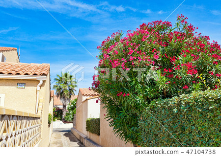 A narrow path in the french village Gruissan A narrow path in the french village Gruissan 47104738