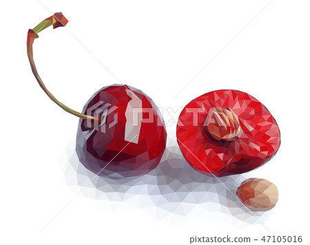 Vector art of red polygon cherry Vector art of red polygon cherry 47105016