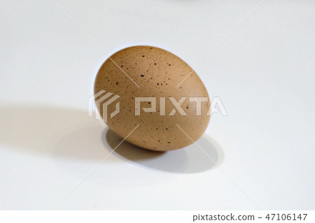 Single brown chicken egg isolated on white background Single brown chicken egg isolated on white background 47106147