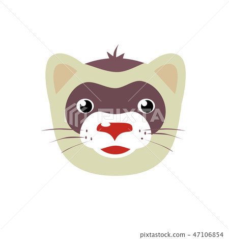 Cartoon ferret animal face vector illustration isolated on white  47106854