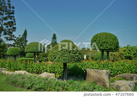 Landscape in the Kingdom of Rama 9 Park in Thailand 47107660