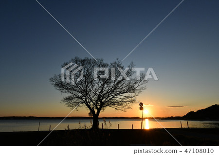 Hakusuma的晚上風景 47108010