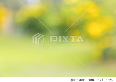 Abstract blur green yellow nature background. 47108260