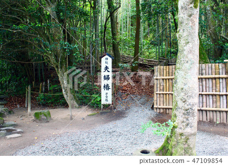 [島根]八木神社，情侶山茶 47109854