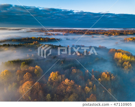 Aerial view of fog in Autumn, Lithuania 47110905