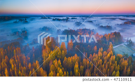 Aerial panoramic view of fog at Autumn, Lithuania 47110911