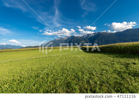 Austrian Alps - Corn Fields and Meadows 47111116