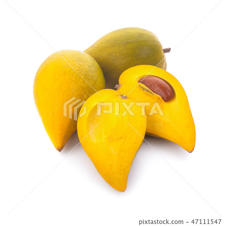Egg fruit, Canistel, Yellow Sapote(Kunth) Egg fruit, Canistel, Yellow Sapote(Kunth) 47111547