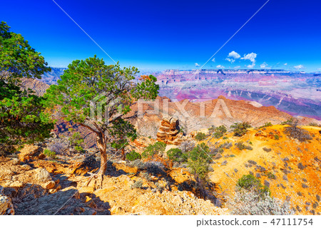 Grand Canyon in Arizona, 47111754