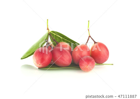 Carissa carandas Linn,Karanda, Carunda isolated Carissa carandas Linn,Karanda, Carunda isolated 47111887