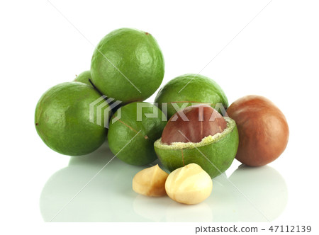 Macadamia nut on white background Macadamia nut on white background 47112139
