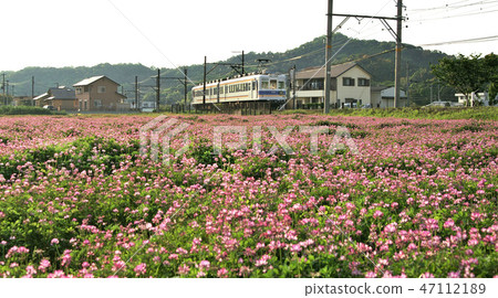 Spring Wakayama Electric Railway Kishikawa Line 47112189