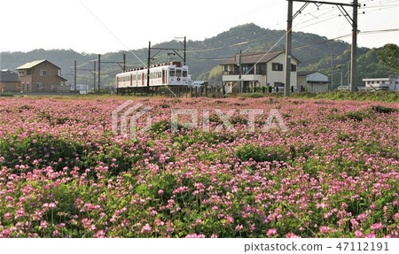 春天和歌山電鐵Kishikawa線 47112191
