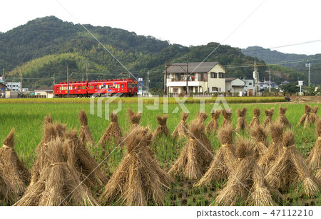 秋天和歌山電鐵Koshigawa線 47112210