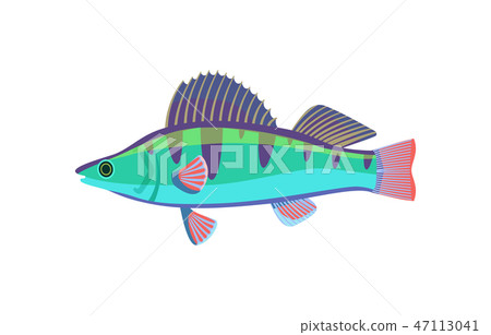 Colorful Fish Type Closeup Vector Illustration 47113041