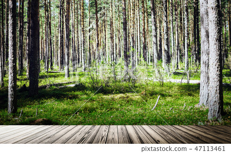 Ecology background outdoor landscape 47113461