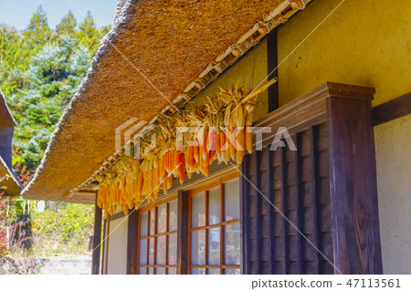 [Yamanashi Prefecture] Autumn West Lake Healing Village Nemba 47113561