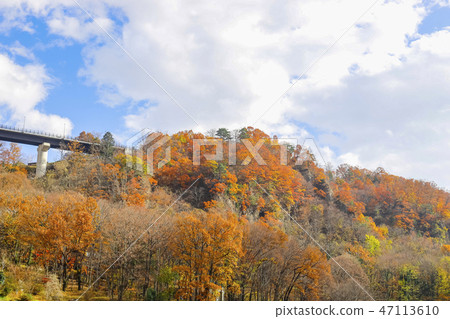 [山梨縣]國家註冊紀念館，秋葉七岩 47113610