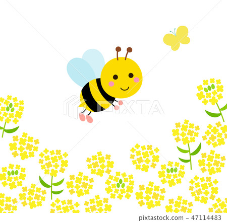 Bee and butterfly rapeseed Bee and butterfly rapeseed 47114483