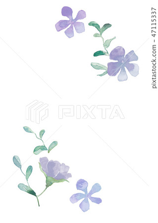Wildflower, purple 47115337