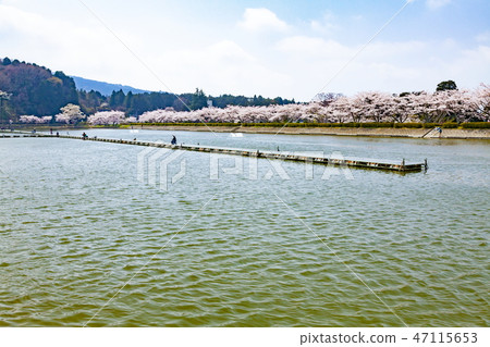 靜岡縣御殿場市東山泉湖 47115653